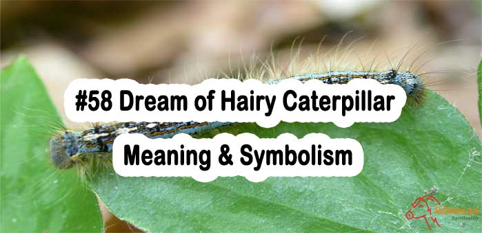 #58 Dream of Hairy Caterpillar - Meaning & Symbolism