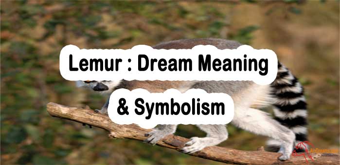 #26 Lemur : Dream Meaning & Symbolism