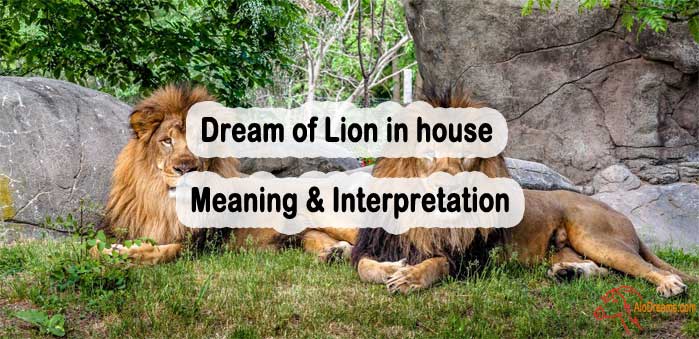 #28 Dream of Lion in house - Meaning & Interpretation