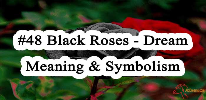 48-black-roses-dream-meaning-symbolism