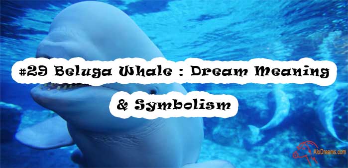 29-beluga-whale-dream-meaning-symbolism