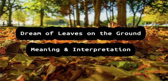 #32 Dream of Leaves on the Ground - Meaning & Interpretation