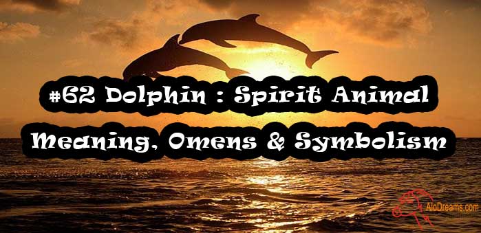 #62 Dolphin : Spirit Animal - Meaning, Omens & Symbolism