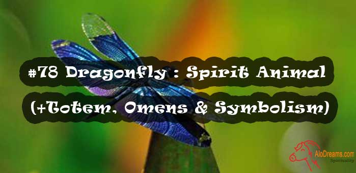 #78 Dragonfly : Spirit Animal (+Totem, Omens & Symbolism)