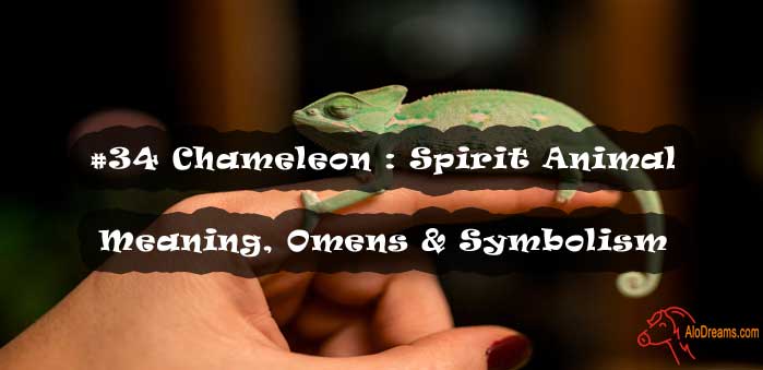 #34 Chameleon : Spirit Animal - Meaning, Omens & Symbolism