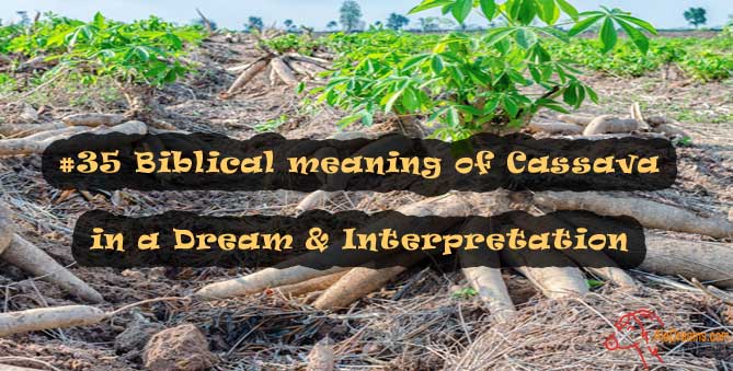 35-biblical-meaning-of-cassava-in-a-dream-interpretation