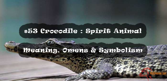 53 Crocodile : Spirit Animal – Meaning, Omens & Symbolism