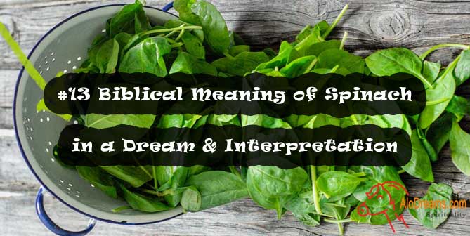 #13 Biblical Meaning of Spinach in a Dream & Interpretation