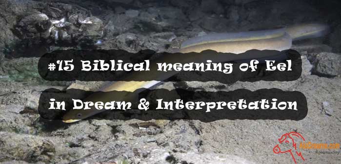 #15 Biblical meaning of Eel in Dream & Interpretation