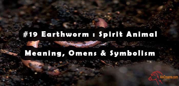 19-earthworm-spirit-animal-meaning-omens-symbolism