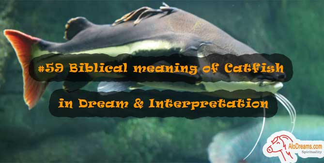 #59 Biblical meaning of Catfish in Dream & Interpretation