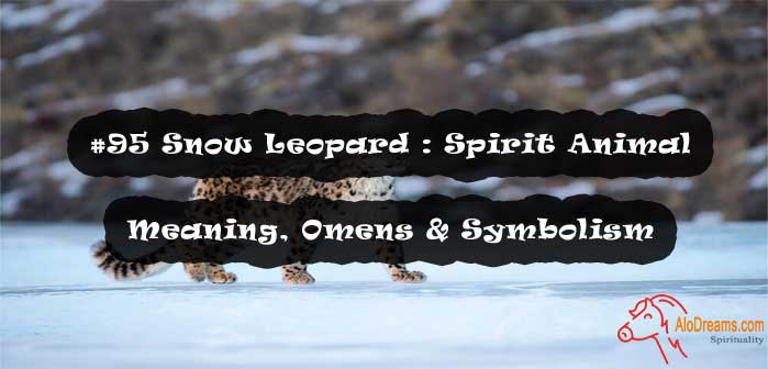 95-snow-leopard-spirit-animal-meaning-omens-symbolism