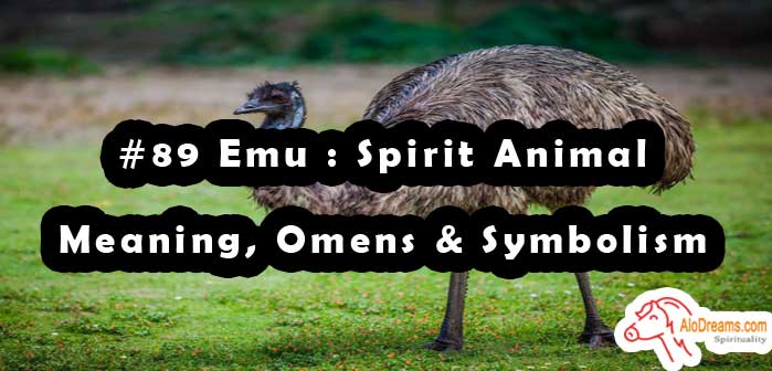 89-emu-spirit-animal-meaning-omens-symbolism