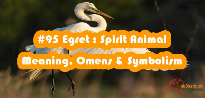 95-egret-spirit-animal-meaning-omens-symbolism