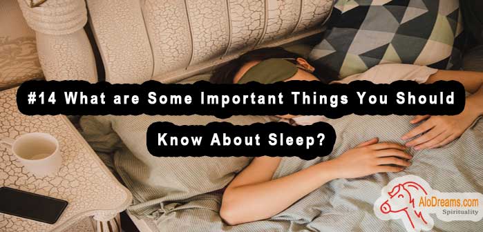 #14 What are Some Important Things You Should Know About Sleep?