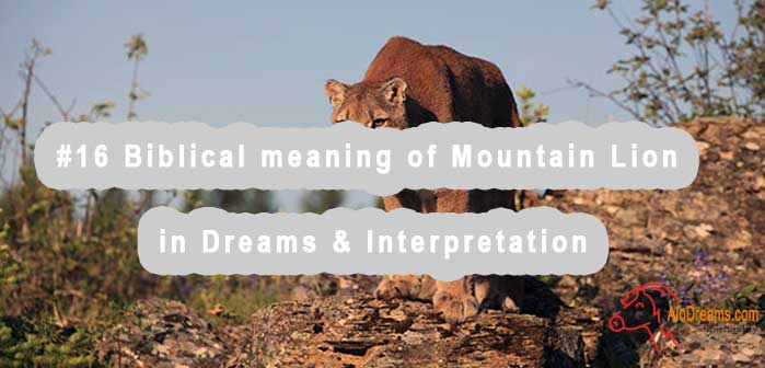 16-biblical-meaning-of-mountain-lion-in-dreams-interpretation