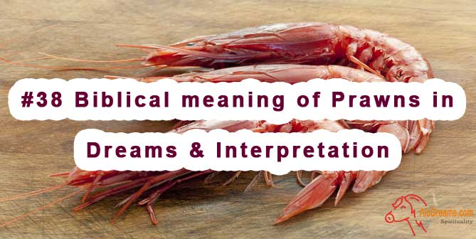 #38 Biblical meaning of Prawns in Dreams & Interpretation