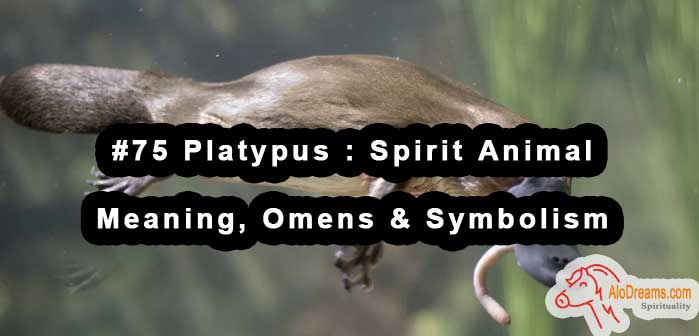 #75 Platypus : Spirit Animal - Meaning, Omens & Symbolism