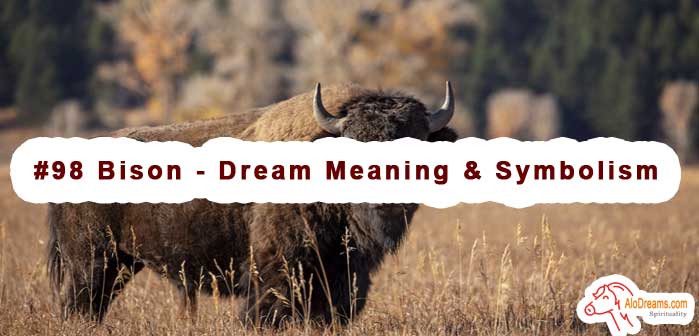 #98 Bison - Dream Meaning & Symbolism