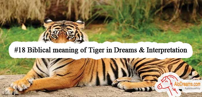 18-biblical-meaning-of-tiger-in-dreams-interpretation