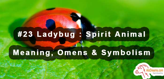 #23 Ladybug : Spirit Animal - Meaning, Omens & Symbolism