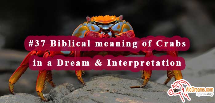 #37 Biblical meaning of Crabs in a Dream & Interpretation