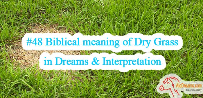 48-biblical-meaning-of-dry-grass-in-dreams-interpretation