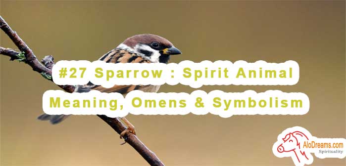 #27 Sparrow : Spirit Animal – Meaning, Omens & Symbolism