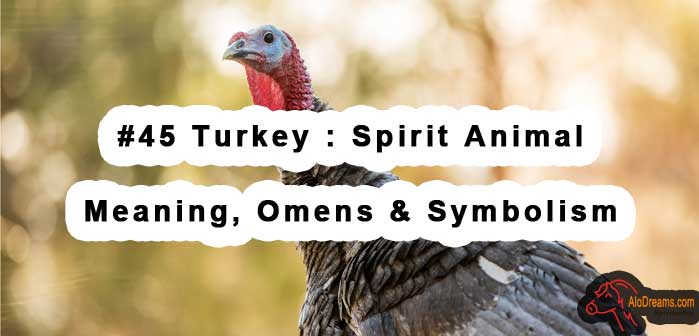 45-turkey-spirit-animal-meaning-omens-symbolism