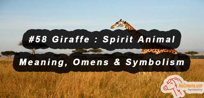 #58 Giraffe : Spirit Animal - Meaning, Omens & Symbolism