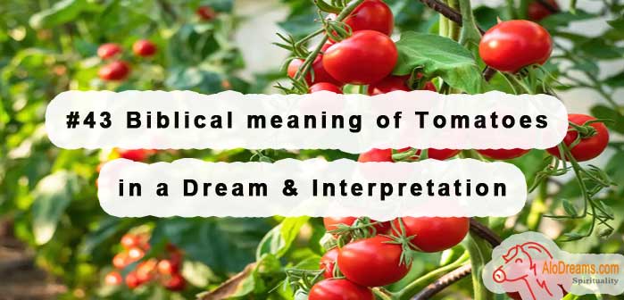 what is the biblical meaning of ripe tomatoes in dreams