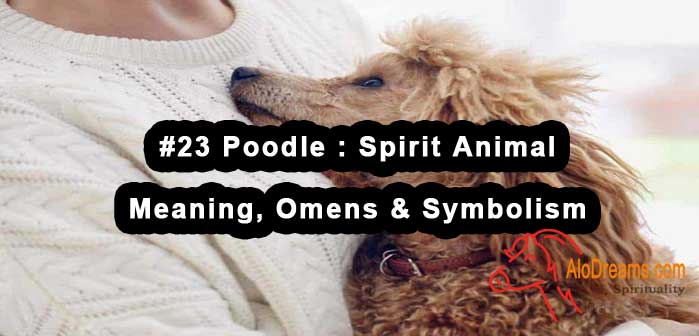#23 Poodle : Spirit Animal - Meaning, Omens & Symbolism