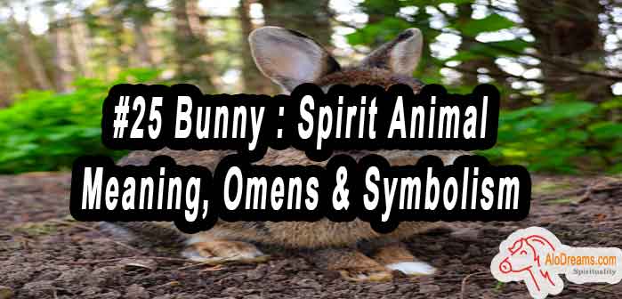 #25 Bunny : Spirit Animal - Meaning, Omens & Symbolism