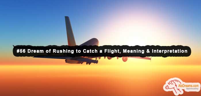 #56 Dream of Rushing to Catch a Flight, Meaning & Interpretation