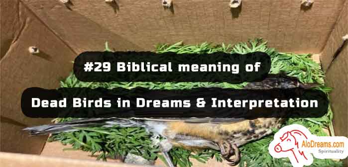 29-biblical-meaning-of-dead-birds-in-dreams-interpretation