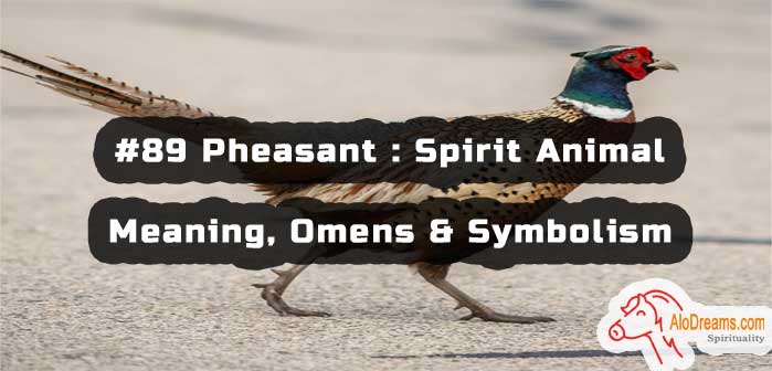 #89 Pheasant : Spirit Animal - Meaning, Omens & Symbolism