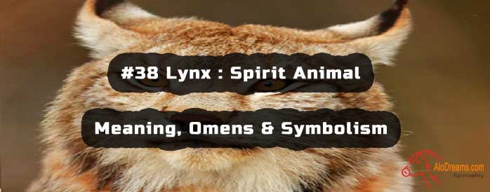 #38 Lynx : Spirit Animal - Meaning, Omens & Symbolism