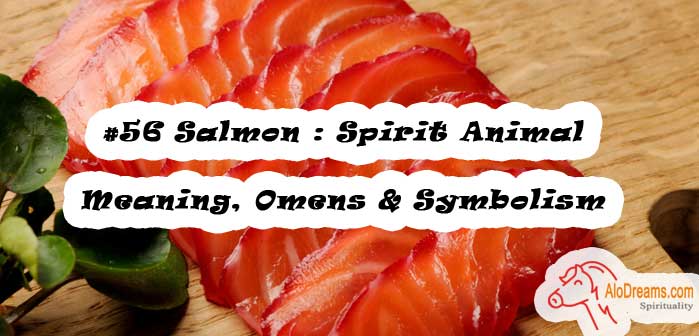 #56 Salmon : Spirit Animal - Meaning, Omens & Symbolism