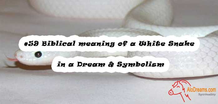 59-biblical-meaning-of-a-white-snake-in-a-dream-symbolism