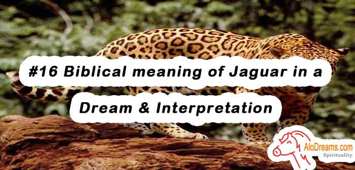 #16 Biblical meaning of Jaguar in a Dream & Interpretation