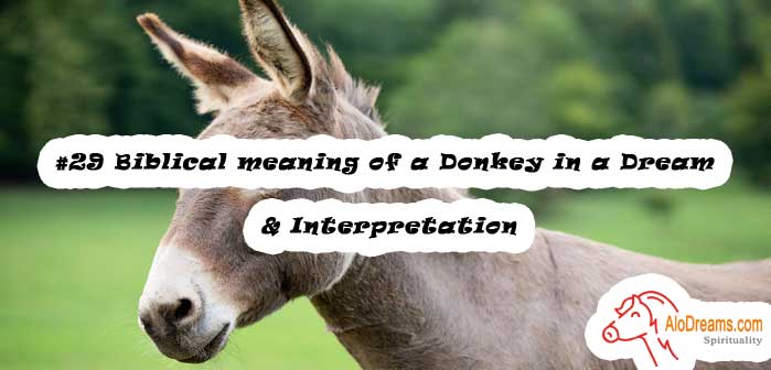 29-biblical-meaning-of-a-donkey-in-a-dream-interpretation