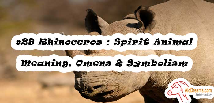 #29 Rhinoceros : Spirit Animal - Meaning, Omens & Symbolism