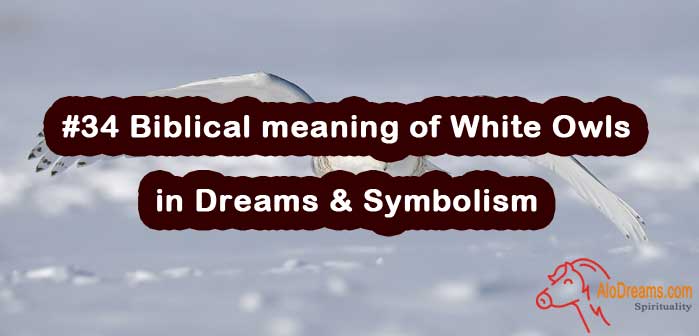 #34 Biblical meaning of White Owls in Dreams & Symbolism