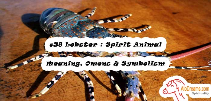 #38 Lobster : Spirit Animal - Meaning, Omens & Symbolism