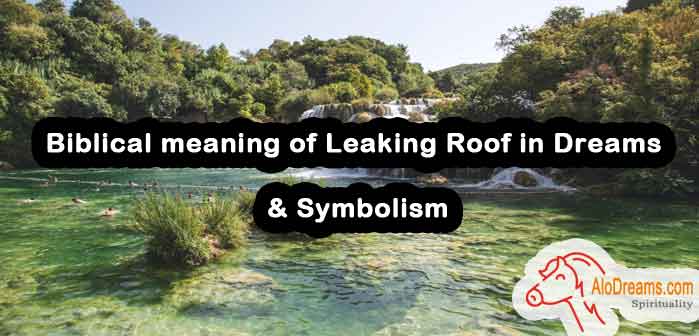 68-biblical-meaning-of-leaking-roof-in-dreams-symbolism