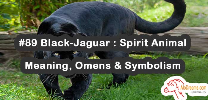 #89 Black-Jaguar : Spirit Animal - Meaning, Omens & Symbolism