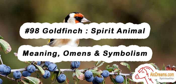 #98 Goldfinch : Spirit Animal – Meaning, Omens & Symbolism