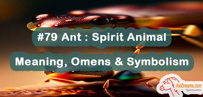 #79 Ant : Spirit Animal – Meaning, Omens & Symbolism