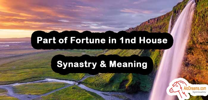 moon trine part of fortune synastry