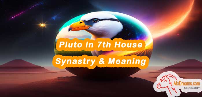 pluto-in-7th-house-synastry-meaning